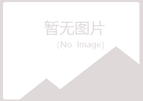 吴川字迹能源有限公司